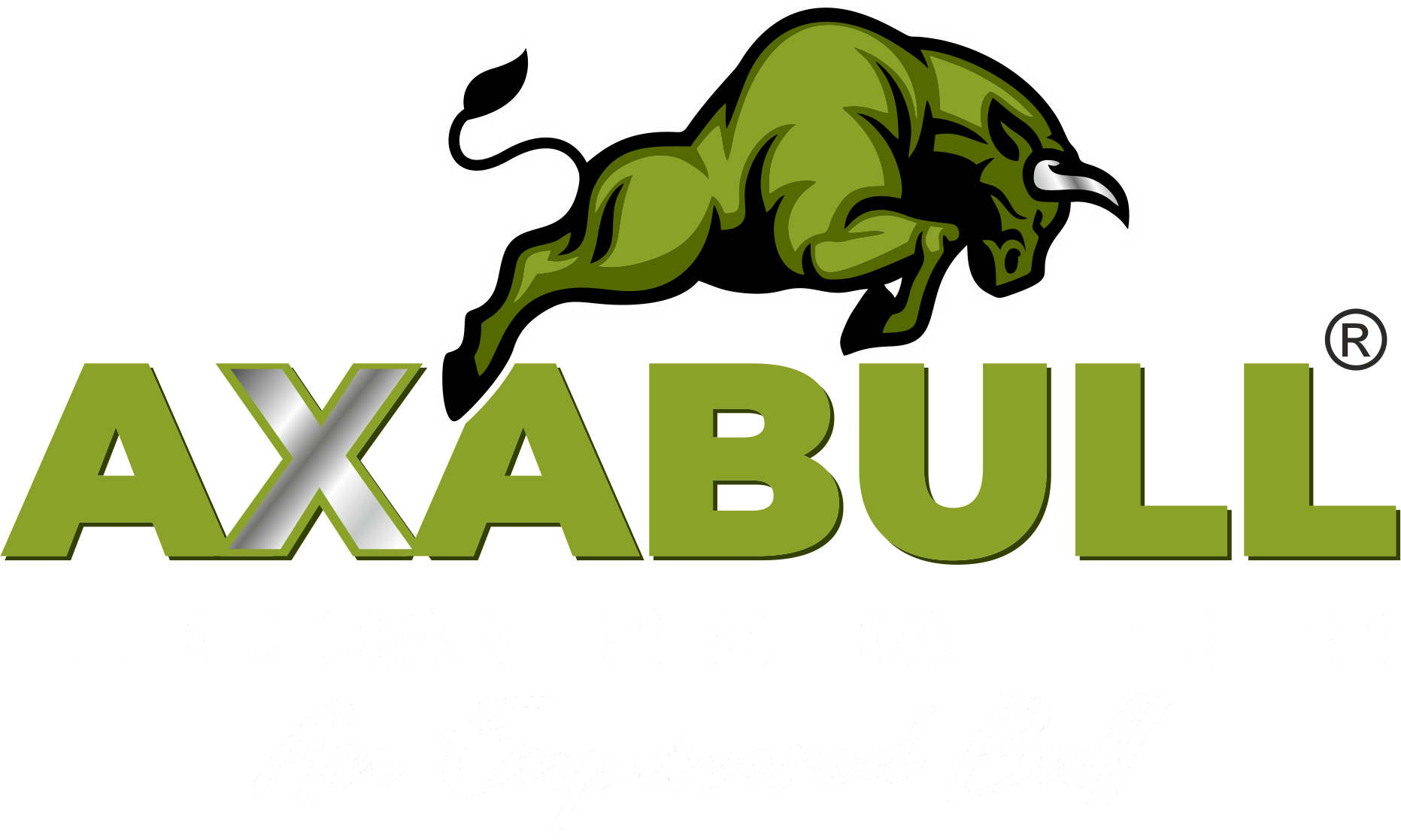 AXABULL INDUSTRIES PRIVATE LIMITED logo