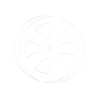 BLUWHEELZ MOBILITY SERVICES PRIVATE LIMITED logo