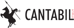 CANTABIL RETAIL INDIA LIMITED logo