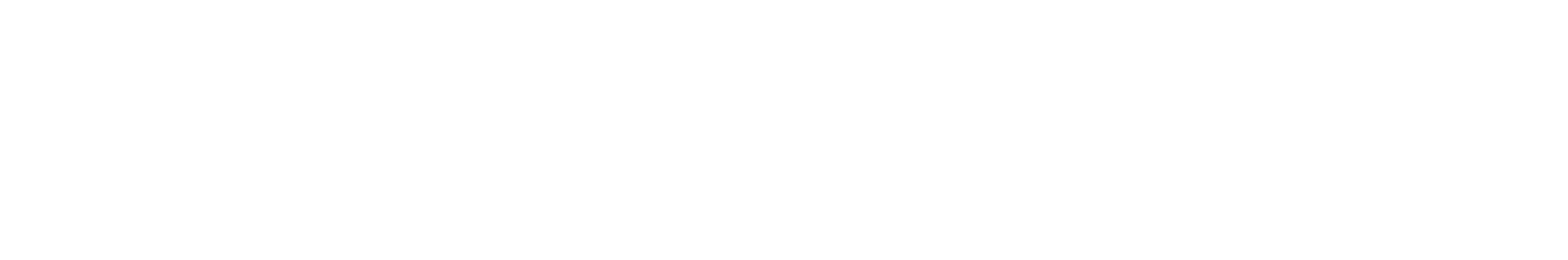 Euler Motors Private Limited logo
