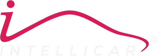 Intellicar Telematics Private Limited logo