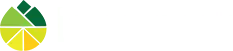 LEMON PEAK MARKETING SERVICES PRIVATE LIMITED logo
