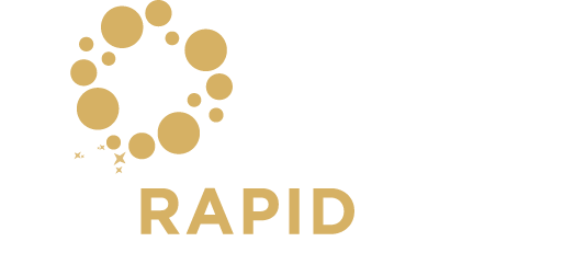 RAPIDLOOPS LOGISTICS PRIVATE LIMITED logo