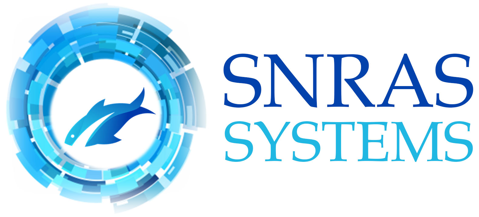 SHUVONEEL RAS SYSTEM PRIVATE LIMITED logo